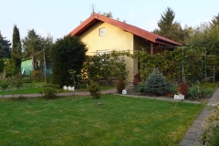 P1050976