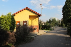 _0007 IMG_8090