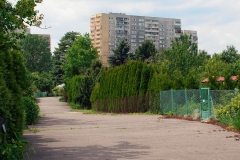 _0008e _6033988