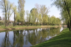 __000c _P4240692