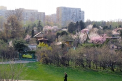 __000n -IMG_8105